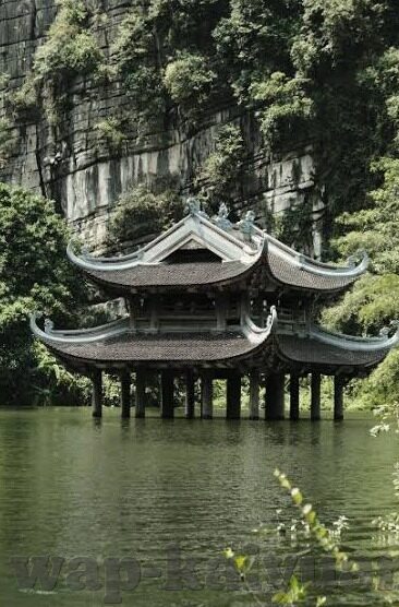 烘干机水果机好用吗-烘干机水果机，便捷与健康的完美结合