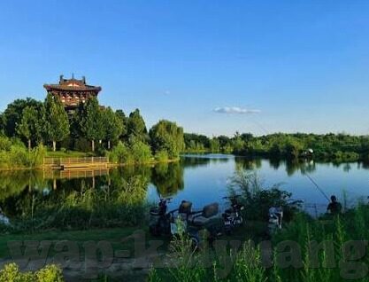 球 网足球比分网-球网足球比分网，绿茵场上的数字脉搏与球迷狂欢指南